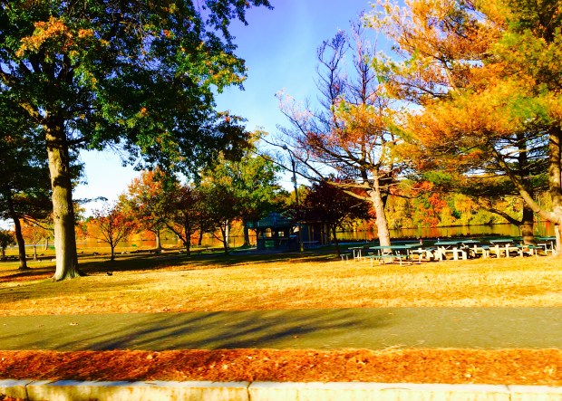 Sonbaharda Boston Rengarenk