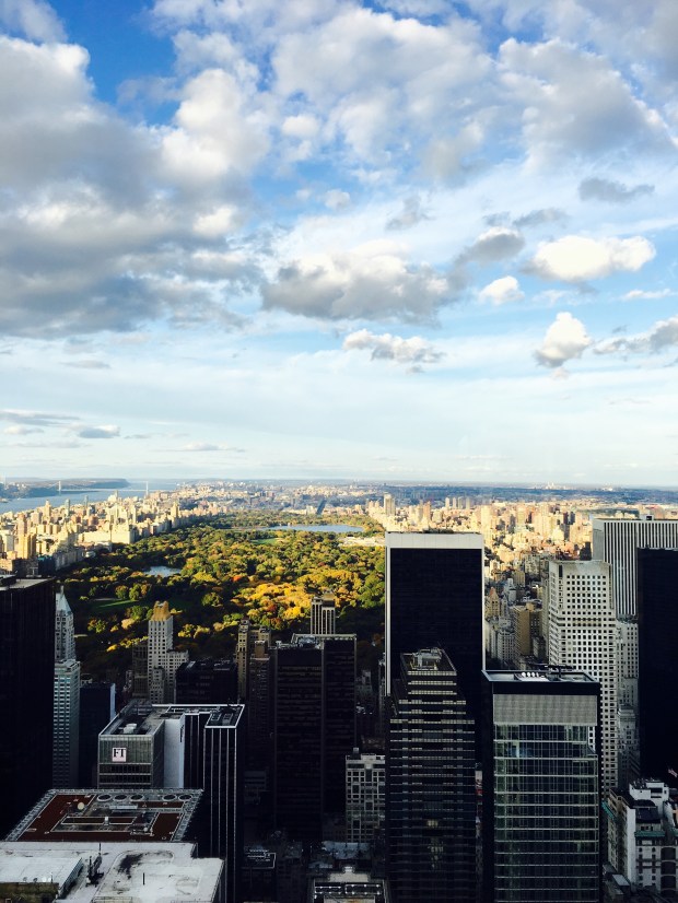 Rockefeller Kulesinden Central Park